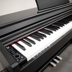 E-Chord DPX100 Black Polish