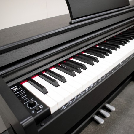 E-Chord DPX100 Black Polish