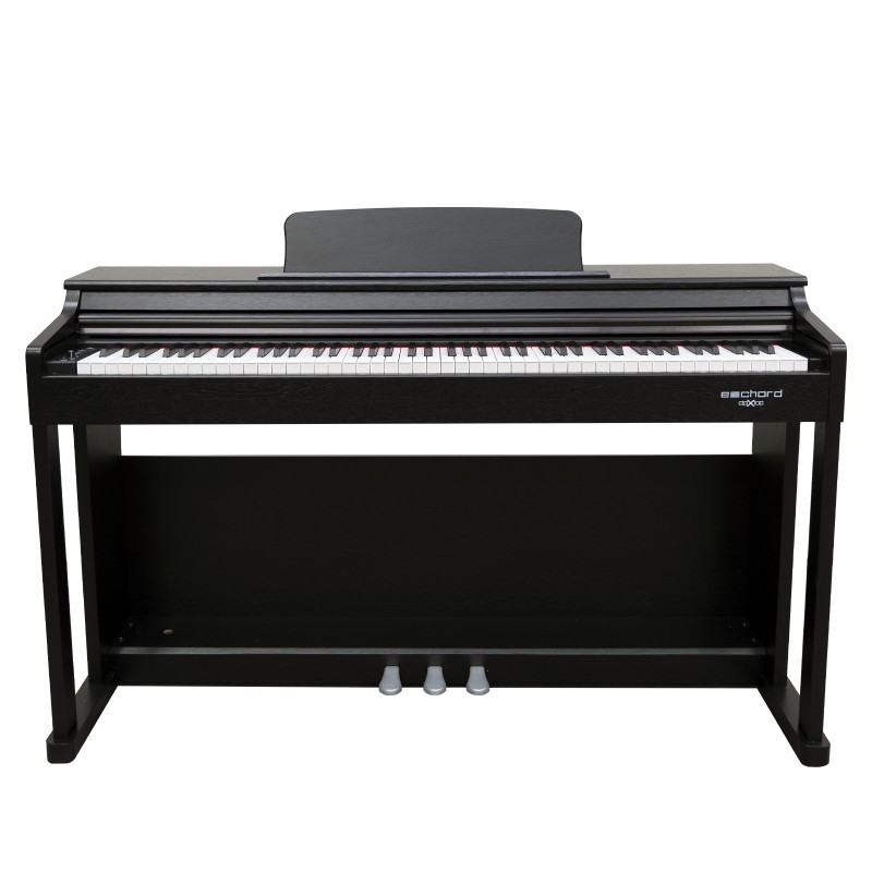 E-Chord DPX100 Black Polish