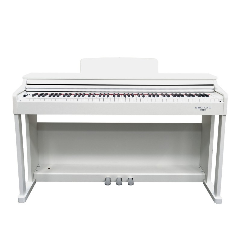 E-Chord DPX100 White Polish