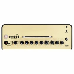 Yamaha THR10IIW