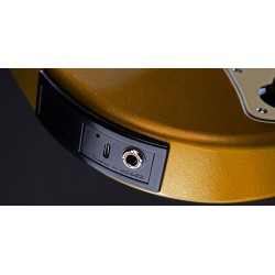 MOOER GTRS S800 Standard 800 RW Gold