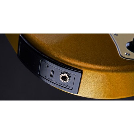 MOOER GTRS S800 Standard 800 RW Gold