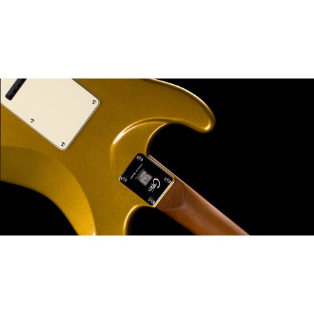 MOOER GTRS S800 Standard 800 RW Gold