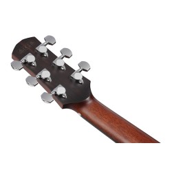 Ibanez AAM780E-NT Natural High Gloss