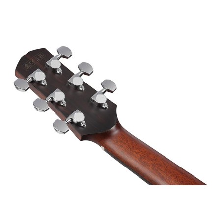 Ibanez AAM780E-NT Natural High Gloss