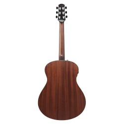Ibanez AAM740E-LG Natural Low Gloss