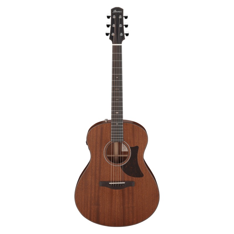 Ibanez AAM740E-LG Natural Low Gloss