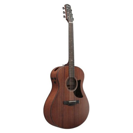 Ibanez AAM740E-LG Natural Low Gloss