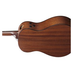 Ibanez AAM740E-LG Natural Low Gloss