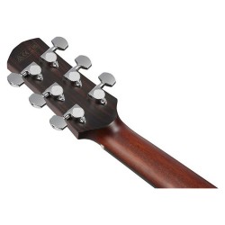 Ibanez AAM740E-LG Natural Low Gloss