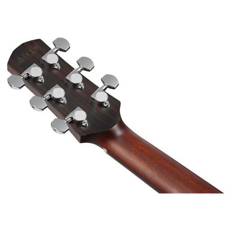 Ibanez AAM740E-LG Natural Low Gloss