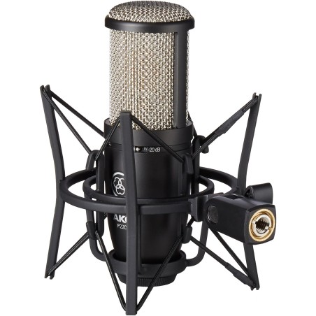 AKG P220