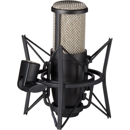 AKG P220