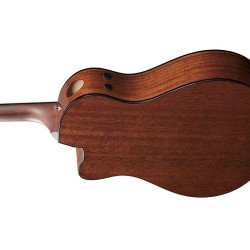 Ibanez AAM300CE-NT Natural High Gloss