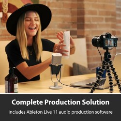 AKG ARA C22-USB