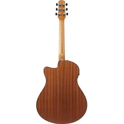 Ibanez AAM54CE-OPN Open Pore Natural