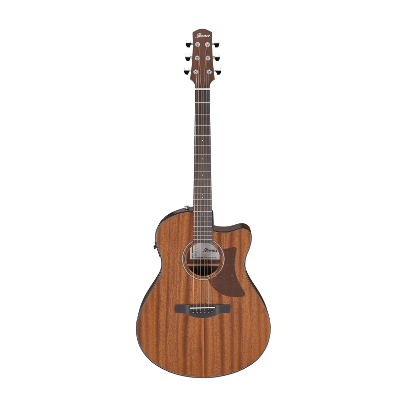 Ibanez AAM54CE-OPN Open Pore Natural