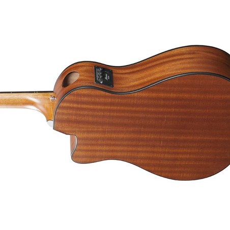 Ibanez AAM54CE-OPN Open Pore Natural