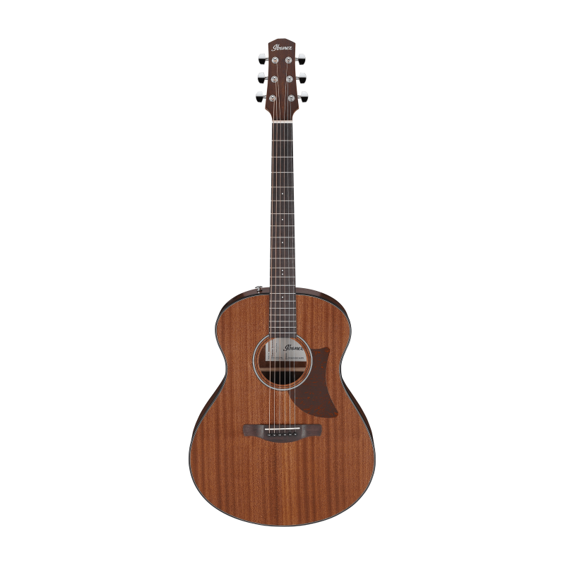 Ibanez AAM54-OPN Open Pore Natural
