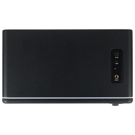 Mooer HORNET 30i Black