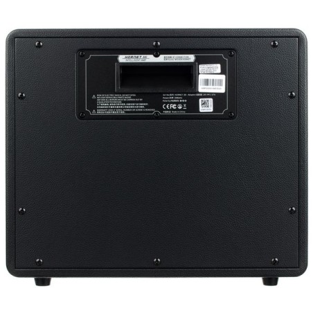 Mooer HORNET 30i Black