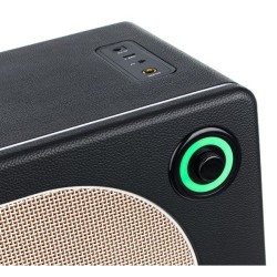 Mooer HORNET 30i Black