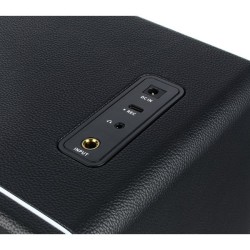 Mooer HORNET 30i Black