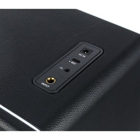 Mooer HORNET 30i Black