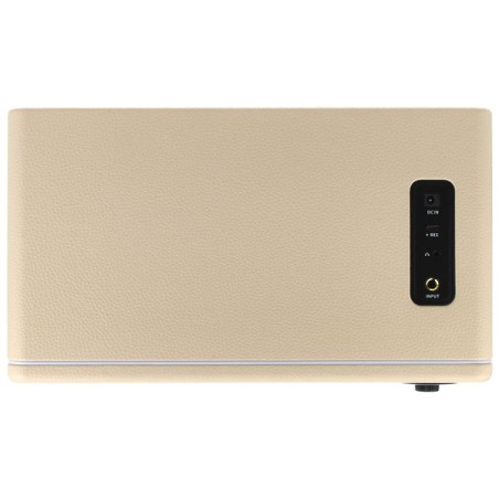 Mooer HORNET 30i White