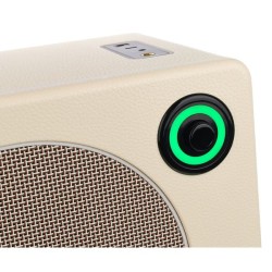 Mooer HORNET 30i White