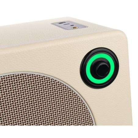 Mooer HORNET 30i White