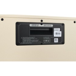 Mooer HORNET 30i White