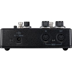 Laney BCC-TDE Stereo Delay