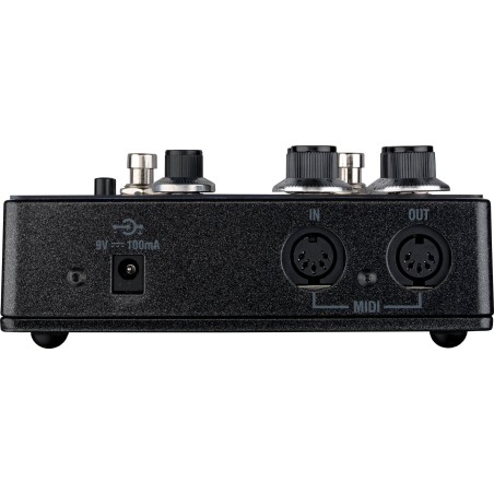 Laney BCC-TDE Stereo Delay