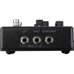 Laney BCC-TDE Stereo Delay