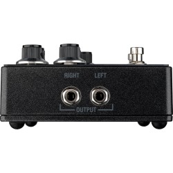 Laney BCC-TDE Stereo Delay