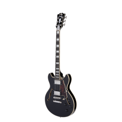 D'Angelico Premier Mini DC Black Flake