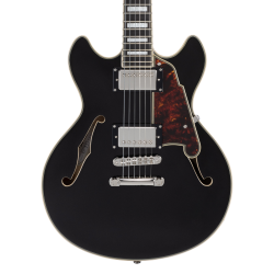 D'Angelico Premier Mini DC Black Flake