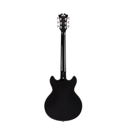 D'Angelico Premier Mini DC Black Flake