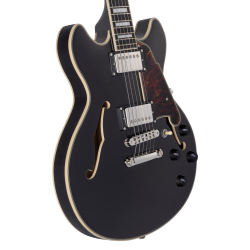 D'Angelico Premier Mini DC Black Flake