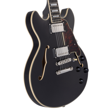 D'Angelico Premier Mini DC Black Flake