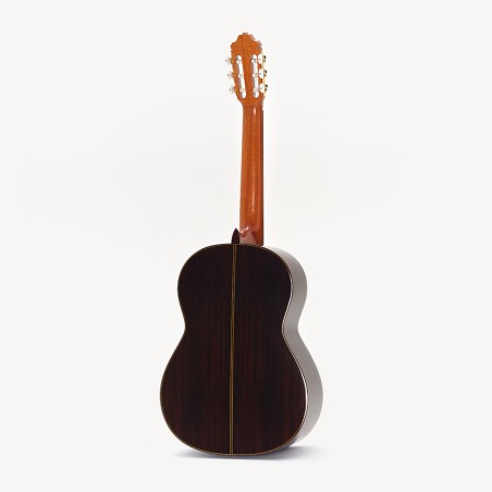ESTEVE 11 Spruce Top