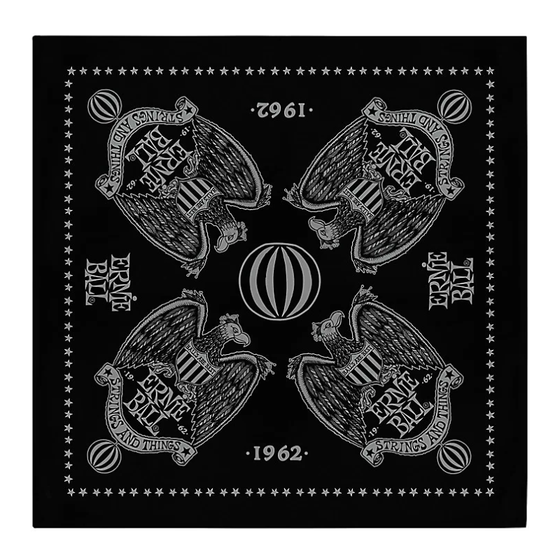 Ernie Ball 4912 Black