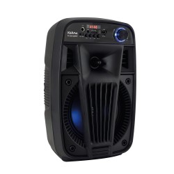 KARMA V SINGER