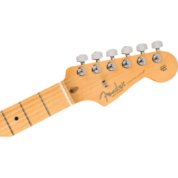 Fender American Professional II Stratocaster HSS MN Roasted Pine