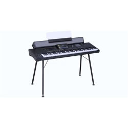 KORG PAAS 2