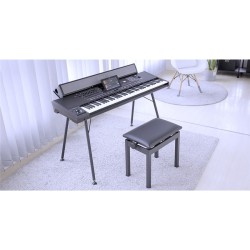 KORG PAAS 2