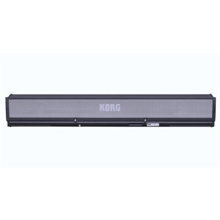 KORG PAAS 2