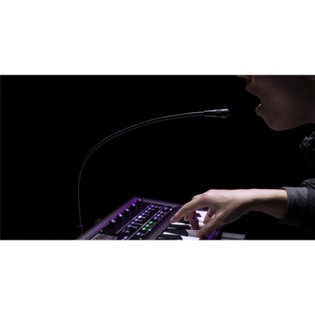KORG Microkorg 2 Standard